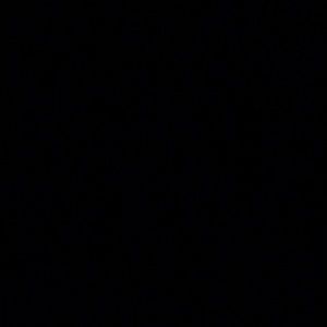 Meet your Posher, Daija